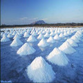 Saline di Trapani e Paceco
